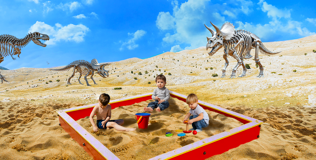 куда поступать с егэ по истории