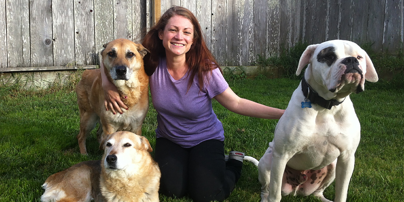 няня для собак