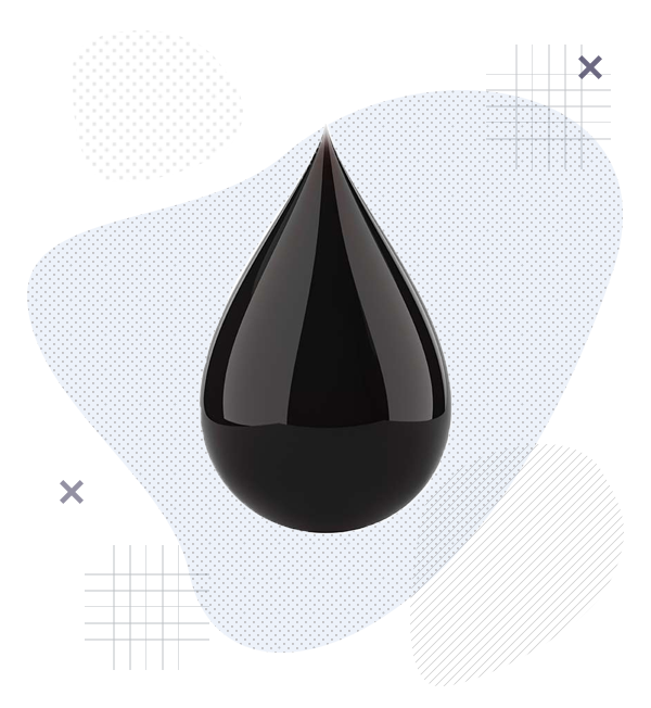 Управление промышленной безопасностью, охраной труда и окружающей среды в нефтегазовом и химическом комплексах