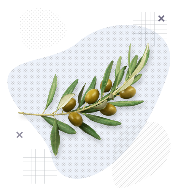 Прикладная психология и психотерапия: междисциплинарный подход