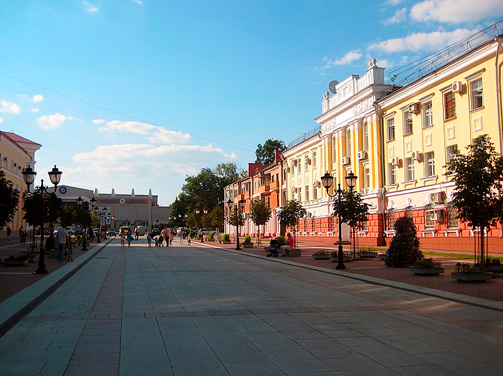 Дистанционное обучение в Брянске