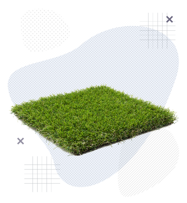 Поступить на профиль  Экологическое благополучие человека и проектирование устойчивого развития экосистем