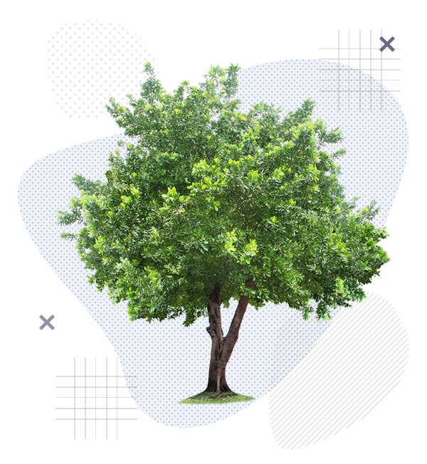 Экологическая безопасность