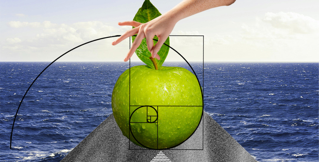 ЕГЭ по профильной математике: специальности, вузы и карьерные перспективы на какие специальности сдают профильную математику