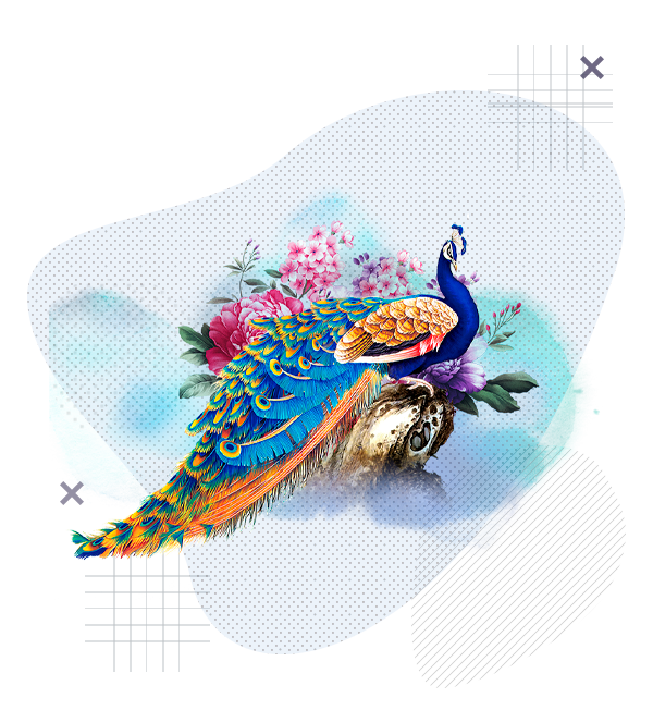 Анимация и анимационное кино (Художник в играх)