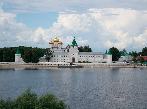 Дистанционное обучение в Костроме