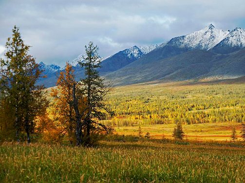 Дистанционное обучение в Республике Коми