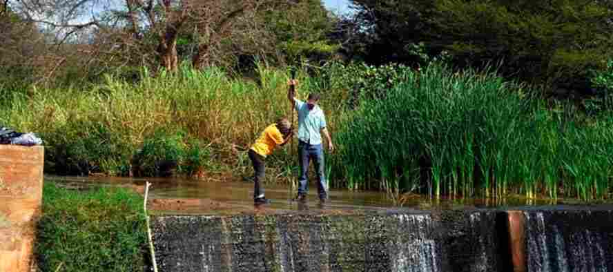 Инженер-эколог