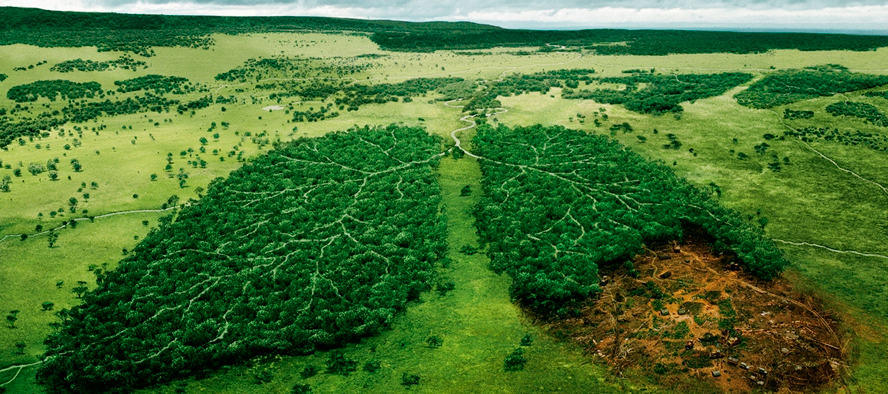 Руководитель отдела экологической (энергетической) безопасности
