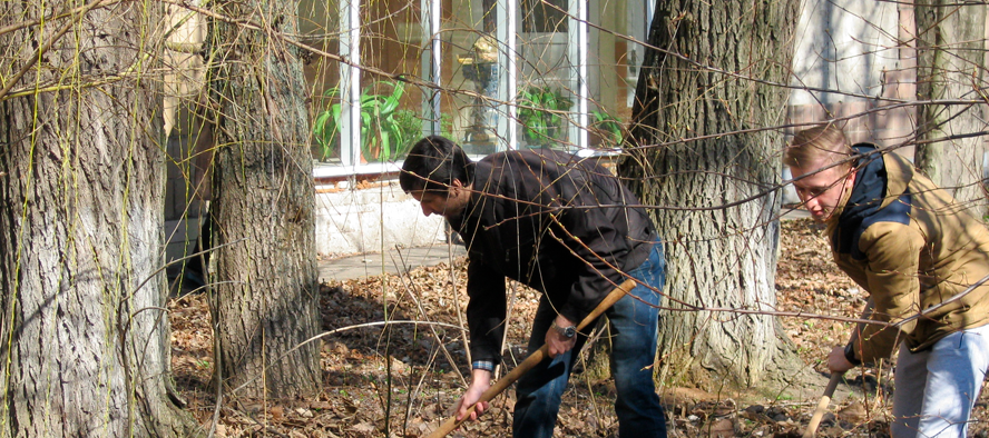 Начальник хозяйственного отдела